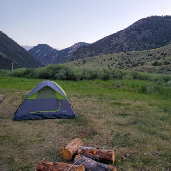 Meet your Posher, Blair Ann - Picture 6 of 7